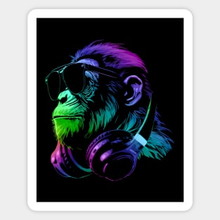 DJ Monkey Magnet